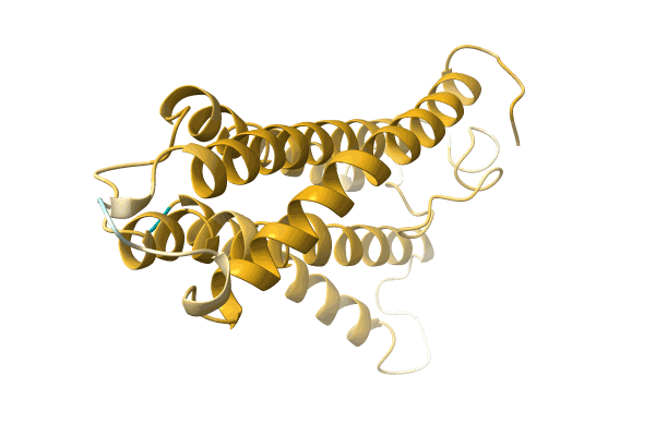 AF-A0A7D0LGV4-F1 image