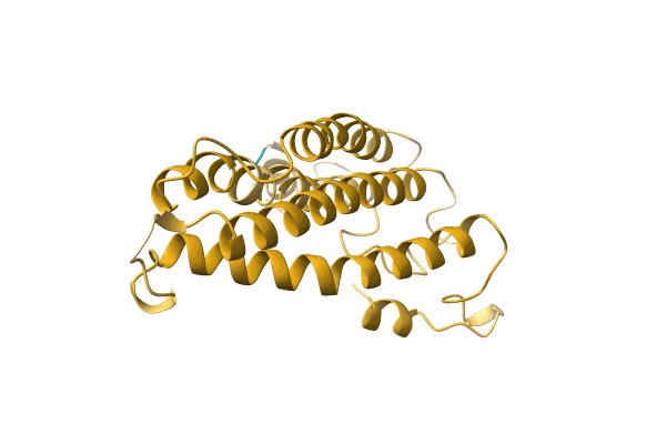 AF-A0A7D0LH90-F1 image