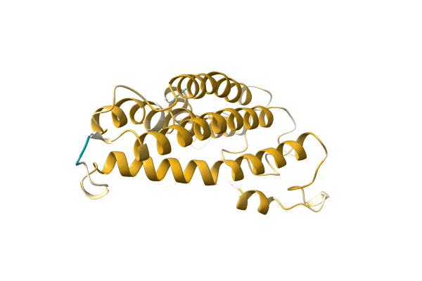 AF-A0A7D0LKU7-F1 image