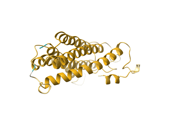 AF-A0A7D0N4A3-F1 image