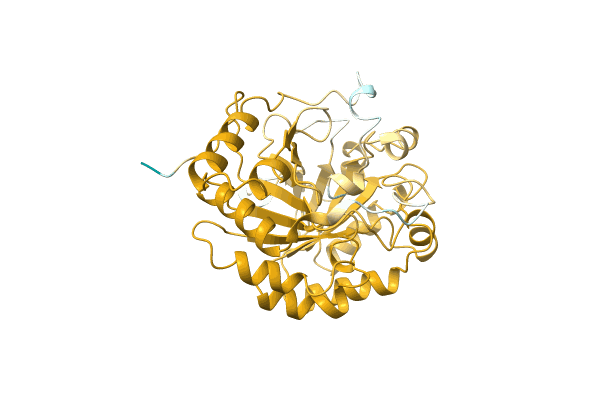 AF-A0A7D4NJG3-F1 image