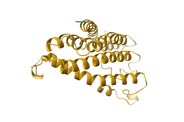 AF-A0A7D5BJT8-F1 image