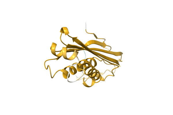 AF-A0A7D5HR09-F1 image