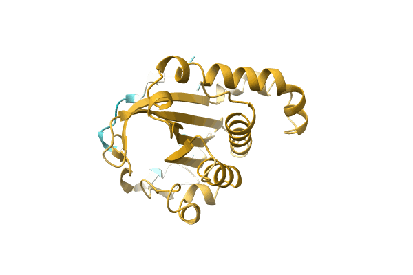 AF-A0A7D5IEI7-F1 image