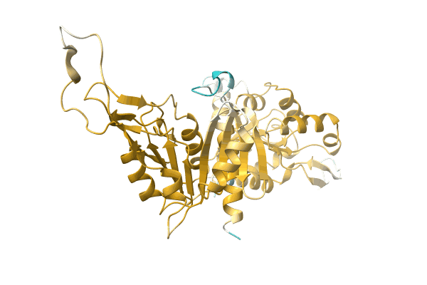 AF-A0A7D5IU85-F1 image