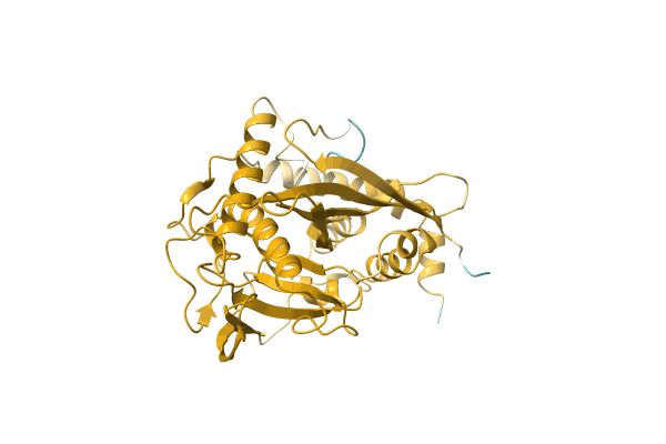 AF-A0A7D5IVA2-F1 image