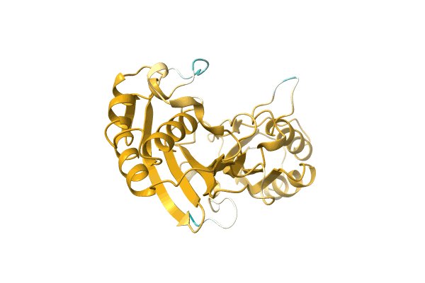 AF-A0A7D5IVH0-F1 image