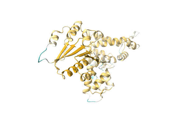 AF-A0A7D5IVK6-F1 image