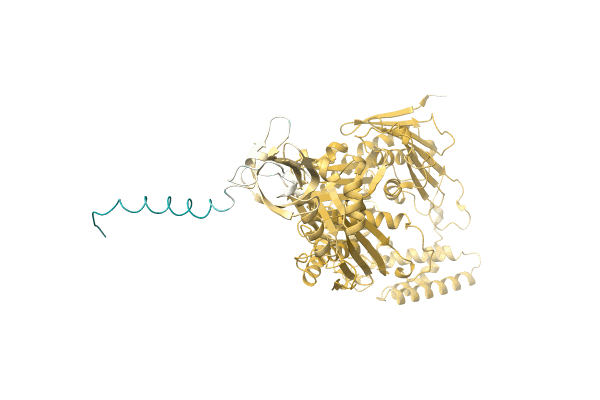 AF-A0A7D5IVN8-F1 image