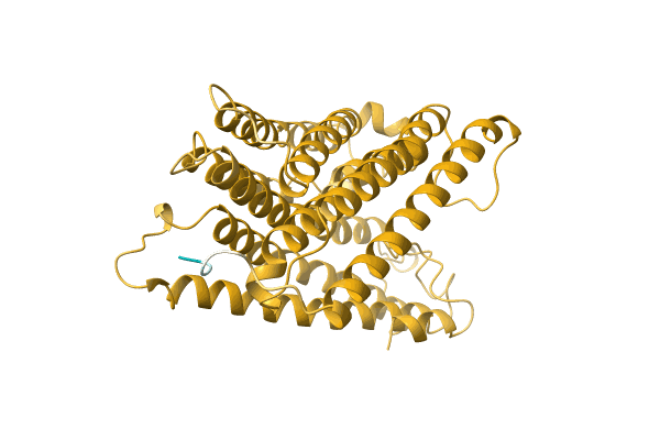 AF-A0A7D5J513-F1 image