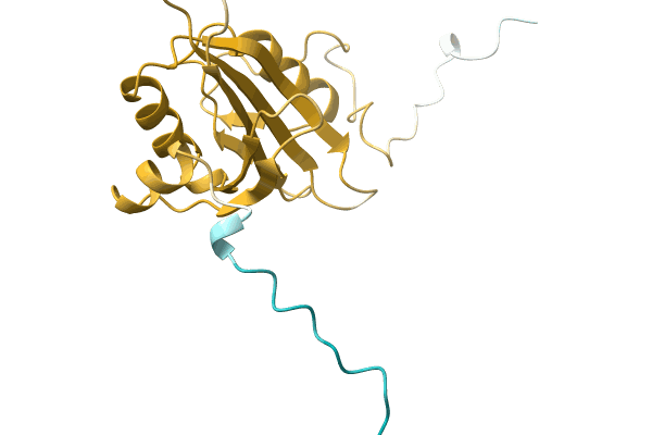 AF-A0A7D5JJB6-F1 image