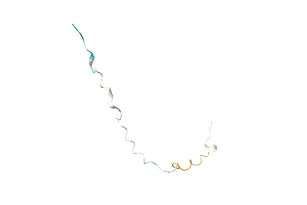 AF-A0A7D5MNQ4-F1 image