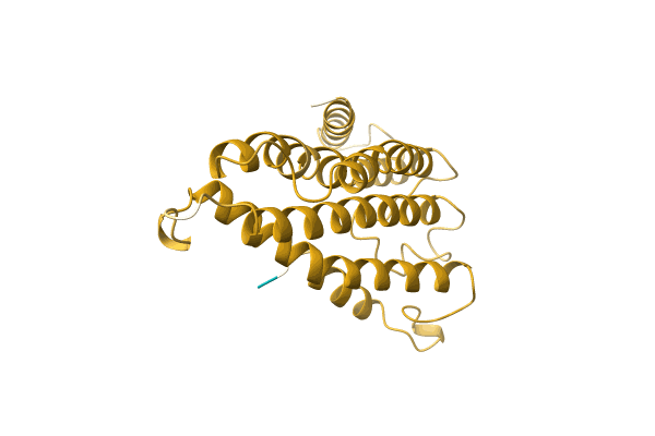 AF-A0A7D6CI78-F1 image