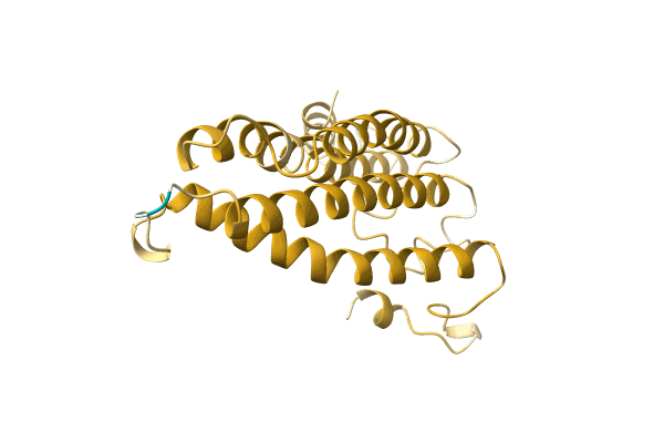 AF-A0A7D6GQA6-F1 image