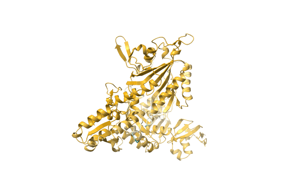 AF-A0A7D6NQQ5-F1 image