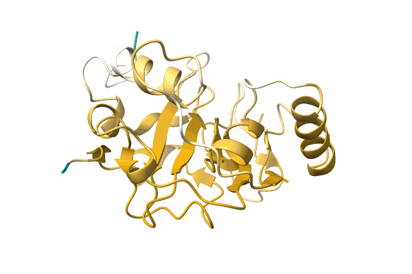 AF-A0A7D6NRF1-F1 image