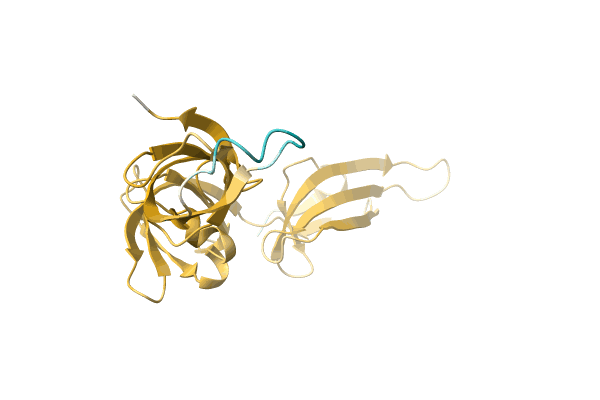 AF-A0A7D6NRY9-F1 image