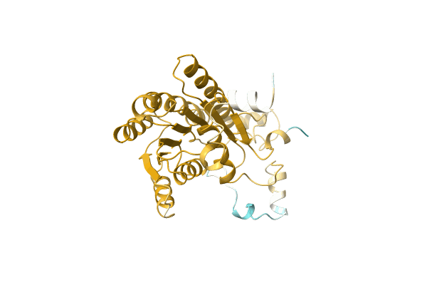 AF-A0A7D8V121-F1 image