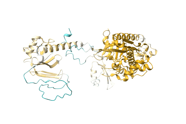 AF-A0A7D9D5T6-F1 image