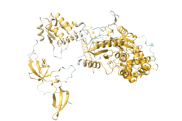 AF-A0A7D9D6R4-F1 image