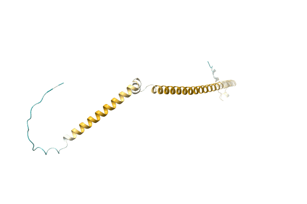 AF-A0A7F8QQS1-F1 image