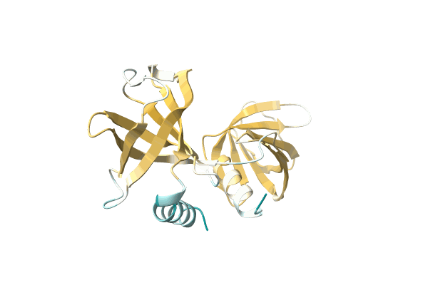 AF-A0A7G1G7I1-F1 image