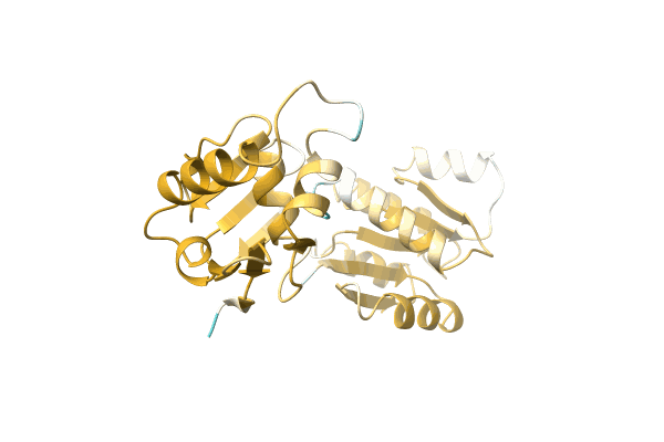AF-A0A7G1ISN9-F1 image