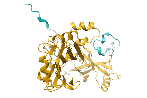 AF-A0A7G1ISW4-F1 image