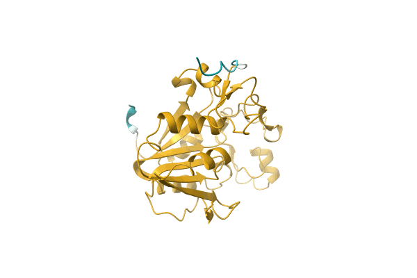 AF-A0A7G3DT16-F1 image