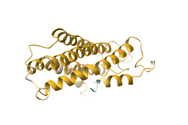 AF-A0A7G4NXY9-F1 image