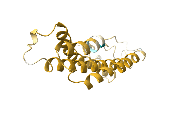 AF-A0A7G4NXZ2-F1 image