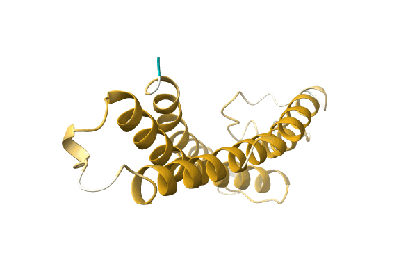 AF-A0A7G4WLQ2-F1 image