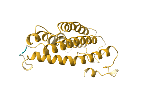 AF-A0A7G5XPN7-F1 image