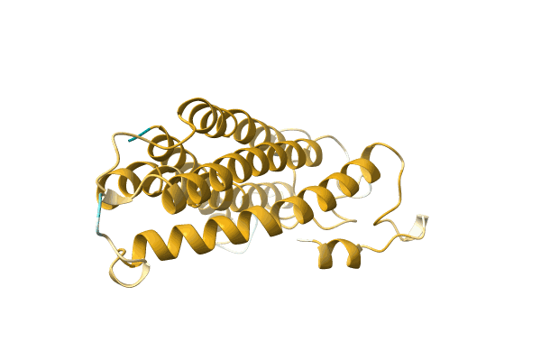 AF-A0A7G7MUH8-F1 image