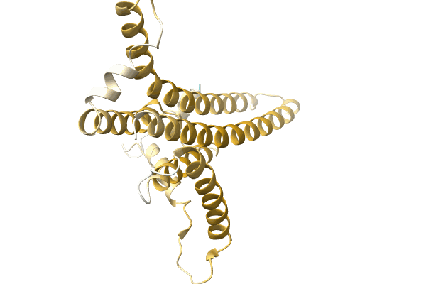 AF-A0A7G9AC17-F1 image