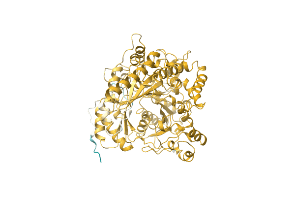 AF-A0A7G9F9G2-F1 image