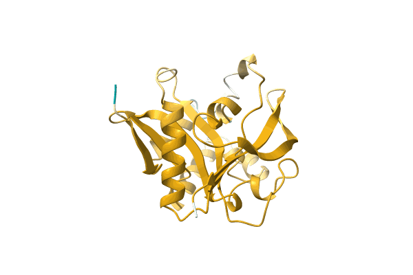 AF-A0A7G9F9I0-F1 image