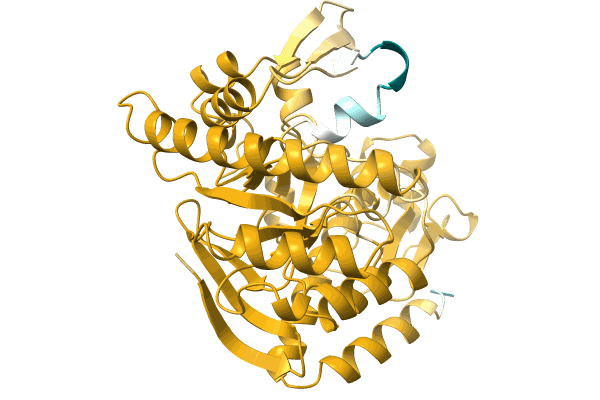 AF-A0A7G9FS02-F1 image