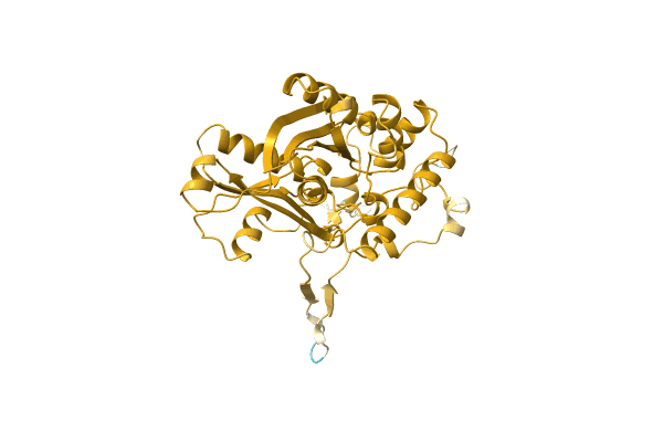 AF-A0A7H1C5M9-F1 image