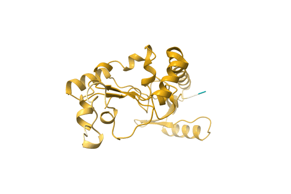 AF-A0A7H1C686-F1 image