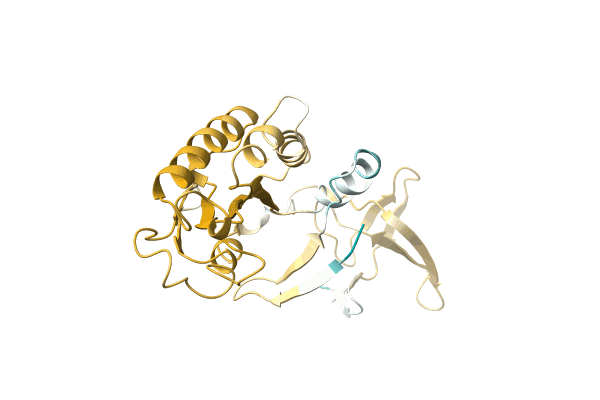 AF-A0A7H1C6G3-F1 image