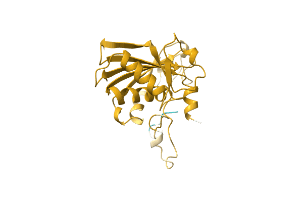 AF-A0A7H1C6P8-F1 image