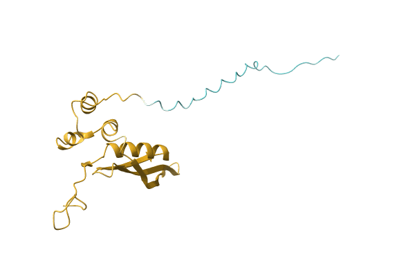 AF-A0A7H1C7R4-F1 image