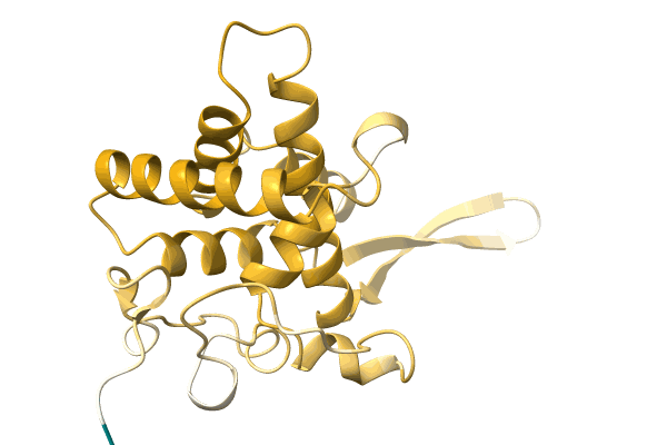 AF-A0A7H1C7T0-F1 image