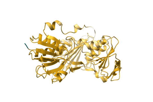 AF-A0A7H9BUX7-F1 image