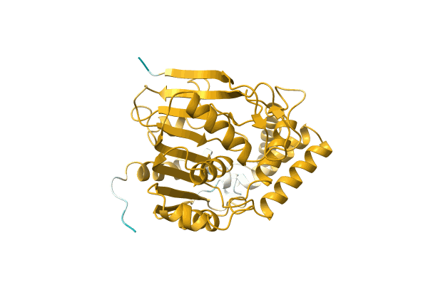 AF-A0A7H9DI76-F1 image