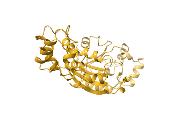 AF-A0A7H9DIE0-F1 image