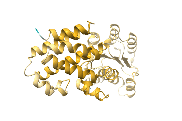 AF-A0A7H9DIH4-F1 image