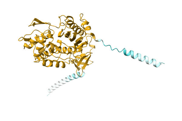 AF-A0A7H9DIU8-F1 image