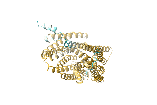 AF-A0A7H9DIV6-F1 image